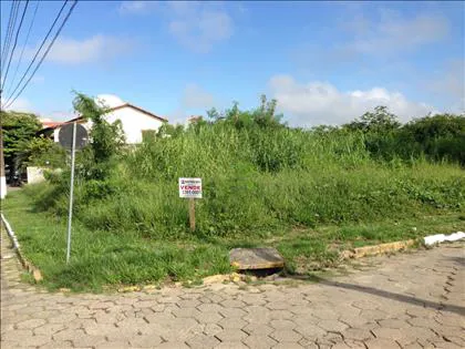 Terreno para venda em Montese