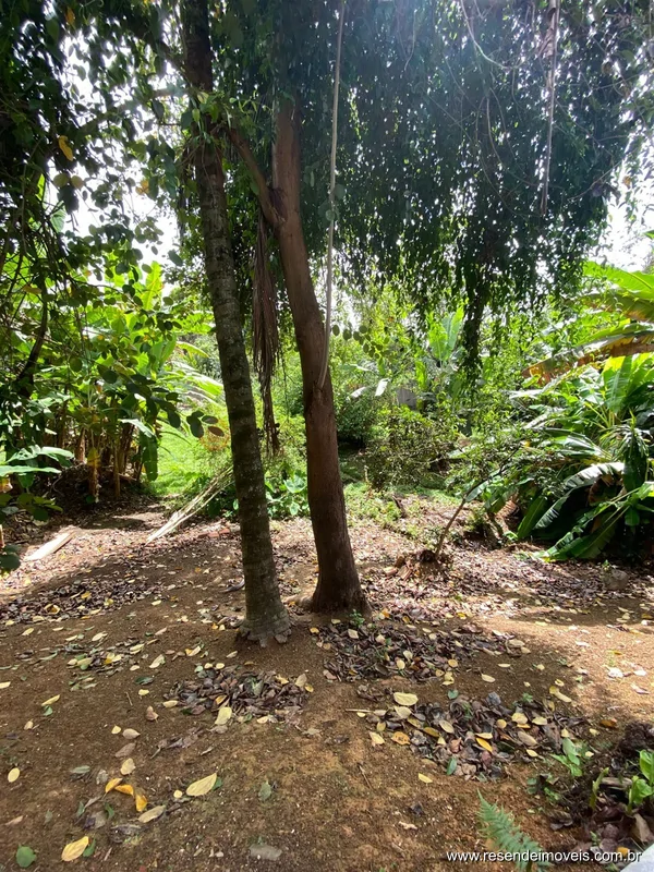 Foto 24 de 27 - Casa para aluguel em Liberdade