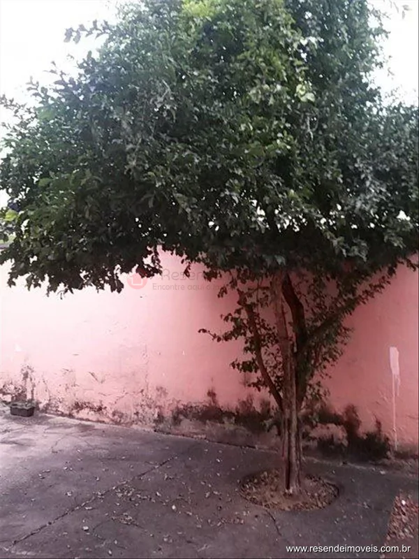 Foto 2 de 15 - Casa para aluguel em Liberdade