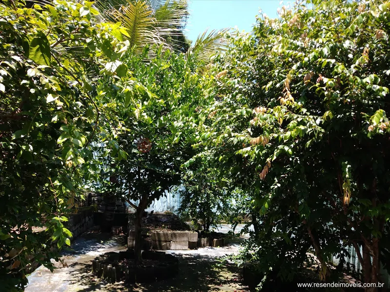 Foto 44 de 90 - Casa para venda e aluguel em Vila Adelaide