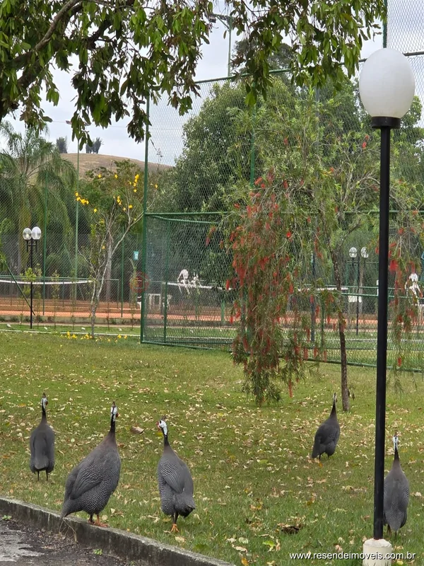 Foto 37 de 40 - Casa em condomínio para venda e aluguel em Morada da Colina
