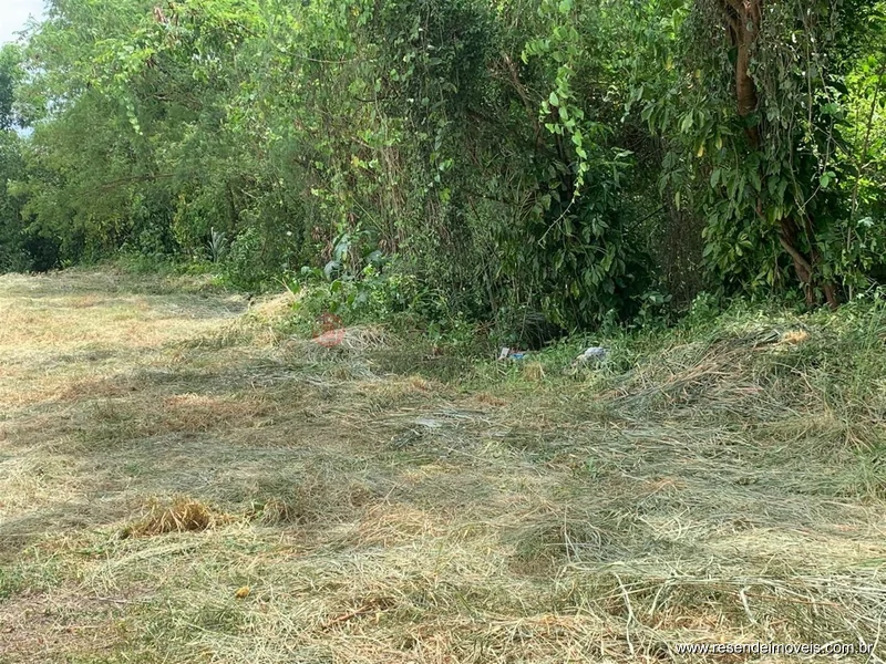 Foto 3 de 6 - Terreno para venda e aluguel em Itapuca