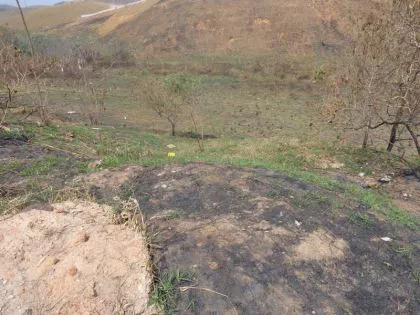 Terreno para venda em Parque Ipiranga II