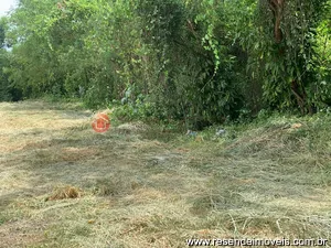 Terreno à venda e para alugar em Itapuca