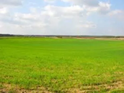 Terreno para venda em Morada da Barra