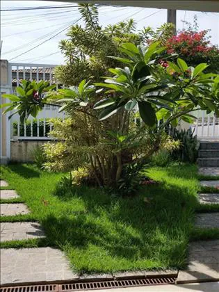 Casa para venda em Morada da Colina