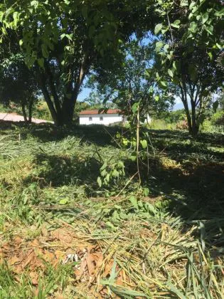 Terreno para venda em Casa da Lua