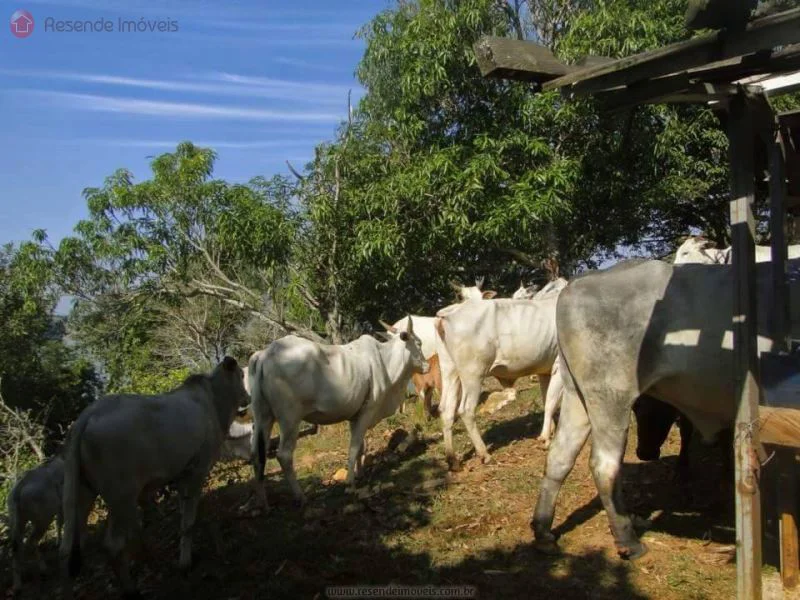 Foto 4 de 35 - Chácara para venda em Alambari