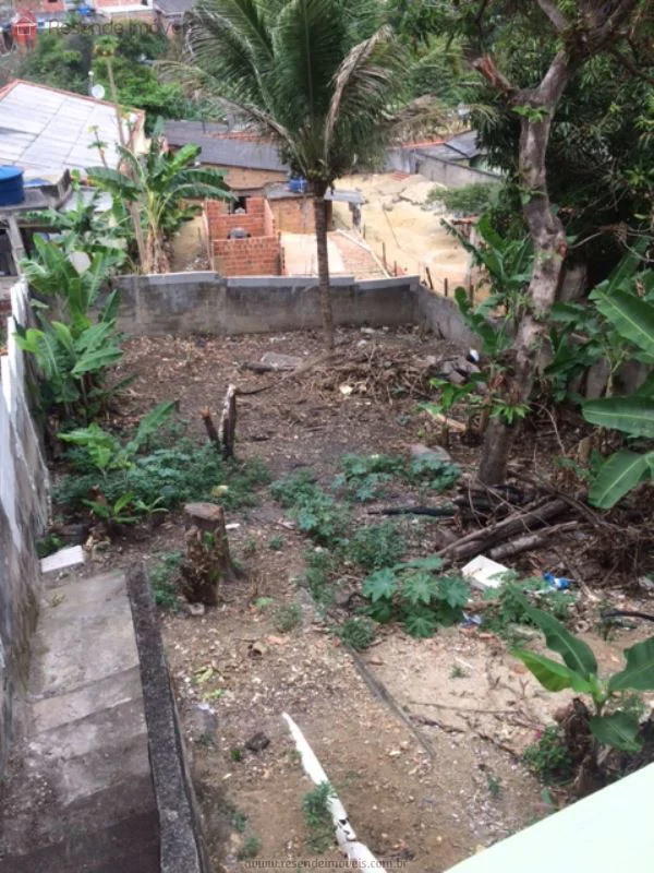 Foto 14 de 14 - Casa para aluguel em Cabral