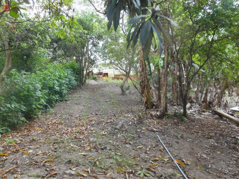 Foto 18 de 20 - Casa para venda em Fazenda da Barra