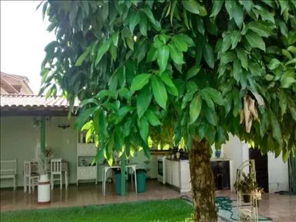 Terreno para aluguel em Manejo