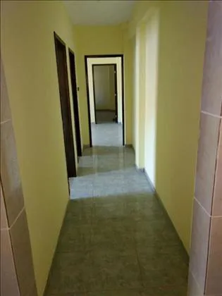 Casa para aluguel em Manejo