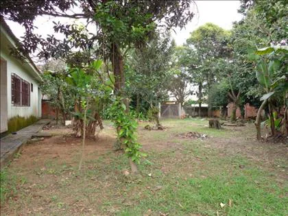 Terreno para venda em Santa Isabel