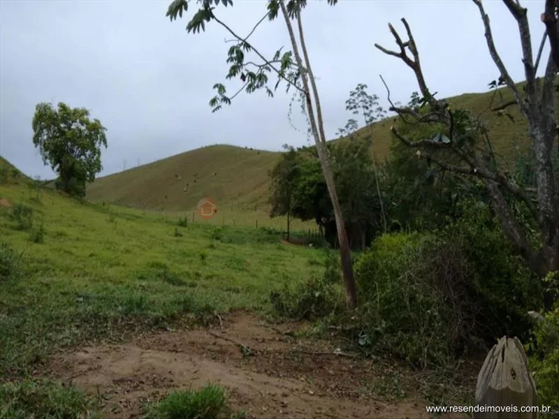 Foto 48 de 60 - Fazenda para venda em Boca do Leão