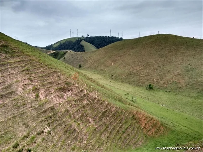 Foto 3 de 60 - Fazenda para venda em Boca do Leão