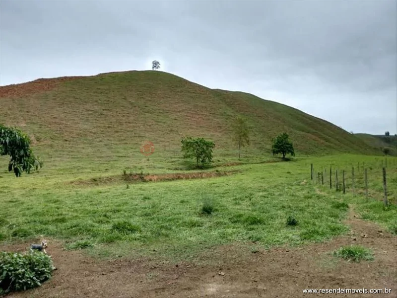 Foto 9 de 60 - Fazenda para venda em Boca do Leão