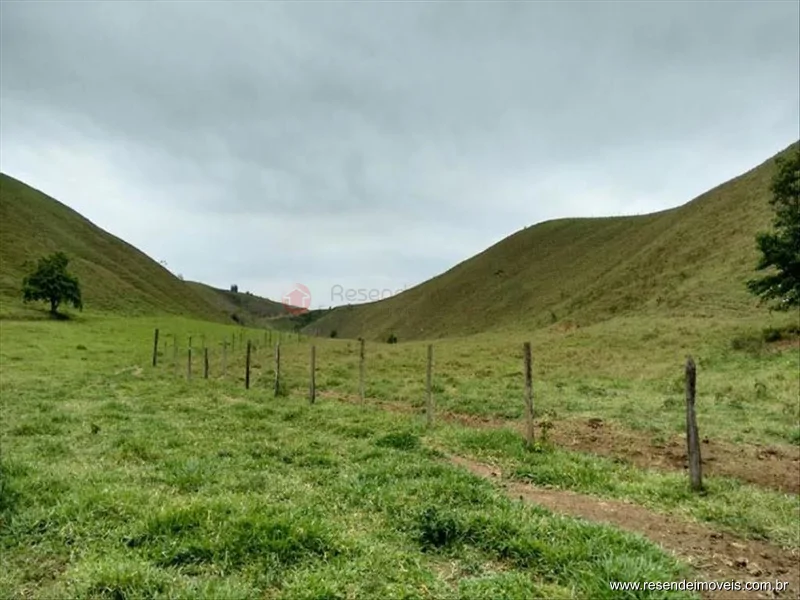 Foto 4 de 60 - Fazenda para venda em Boca do Leão