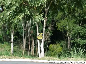 Terreno para venda em Jardim Brasília