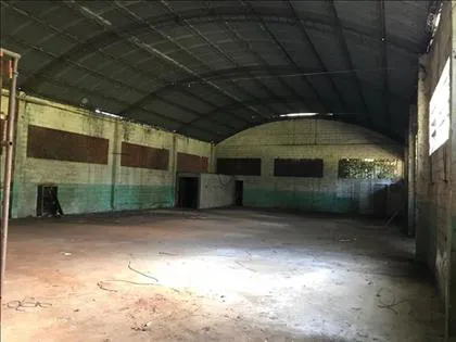 Galpão para aluguel em Manejo