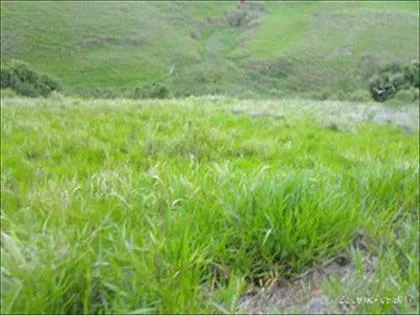 Terreno para venda em Morada da Colina