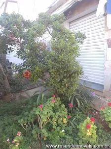 Casa em Vila Santa Cecília