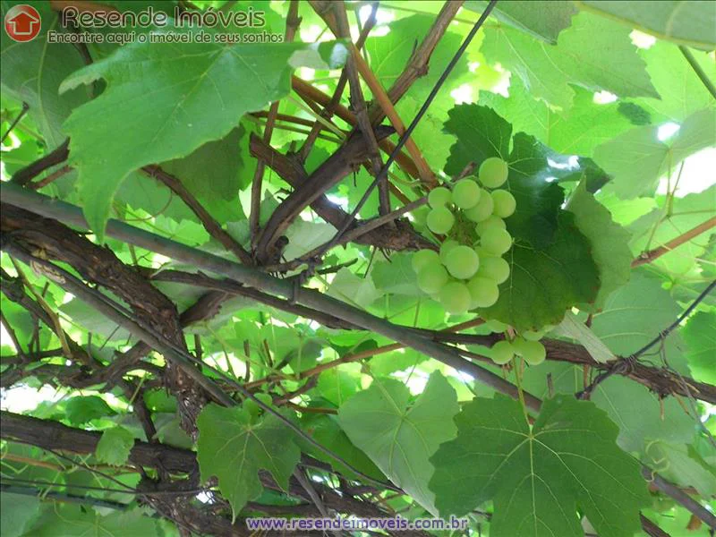 Foto 16 de 25 - Casa para venda em Parque Ipiranga