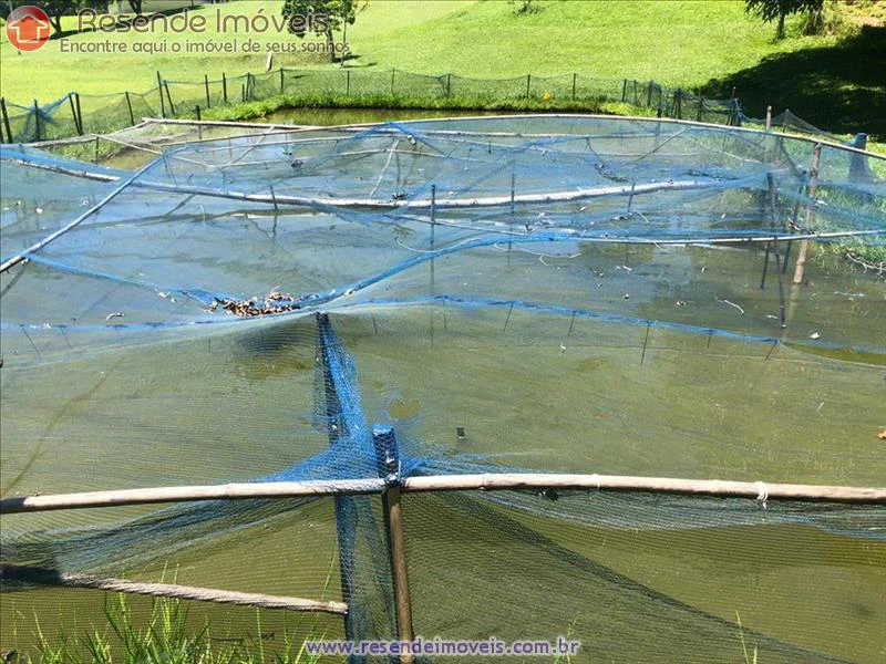 Foto 11 de 17 - Sítio para venda em Paraíso