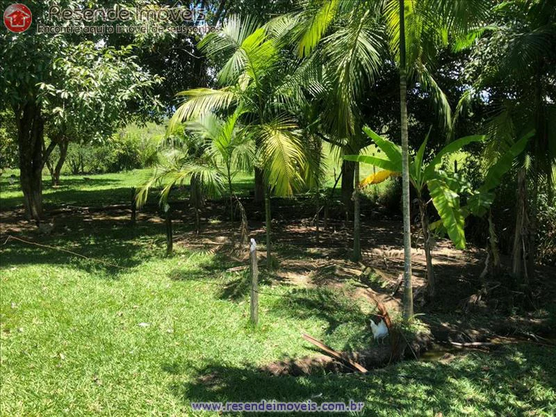 Foto 12 de 17 - Sítio para venda em Paraíso