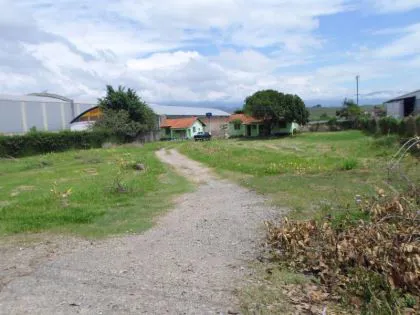 Terreno para aluguel em São Caetano