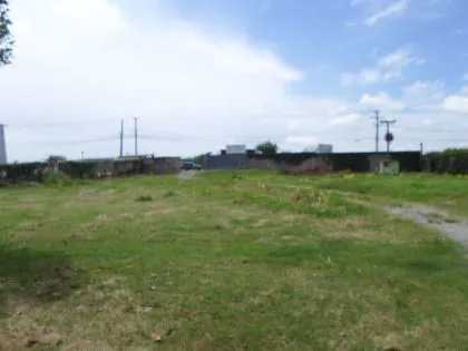 Terreno para aluguel em São Caetano