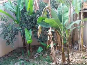 Casa para venda e aluguel em Elite