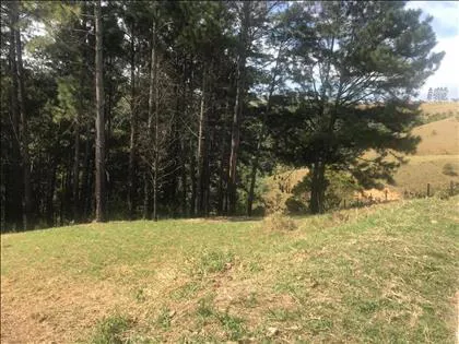 Terreno para venda em Morada do Bosque