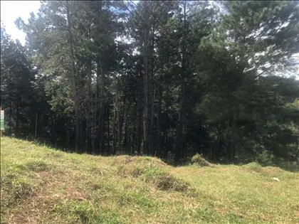 Terreno para venda em Morada do Bosque