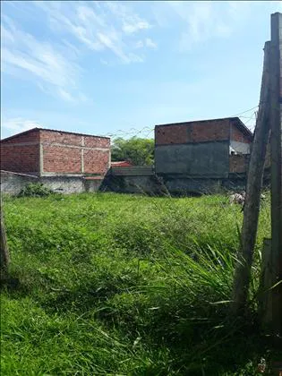 Terreno para aluguel em Parque Ipiranga