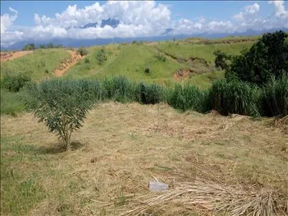 Terreno para venda em Morada da Colina