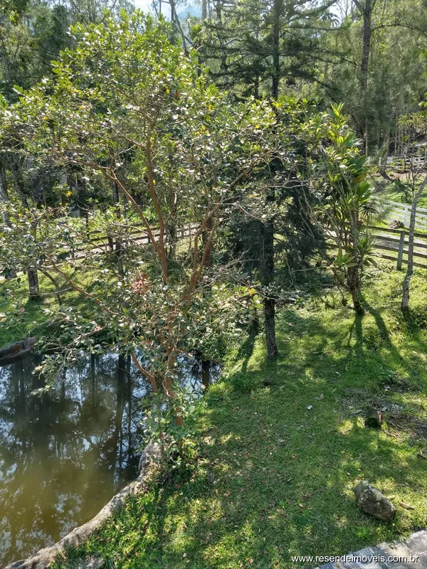 Foto 14 de 32 - Sítio para venda em Jardim Jalisco