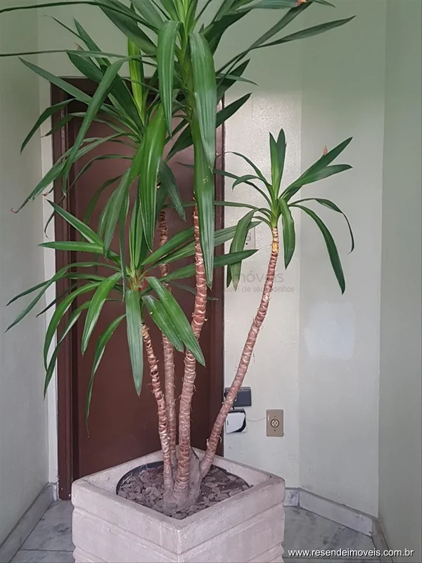 Foto 3 de 32 - Sala Comercial para aluguel em Campos Elíseos