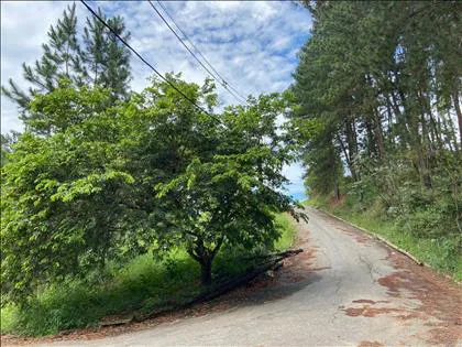Terreno para venda em Morada do Bosque