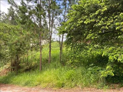 Terreno para venda em Morada do Bosque