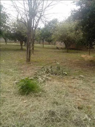 Terreno para venda em Itapuca