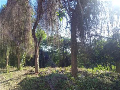 Terreno para venda em Jardim Brasília
