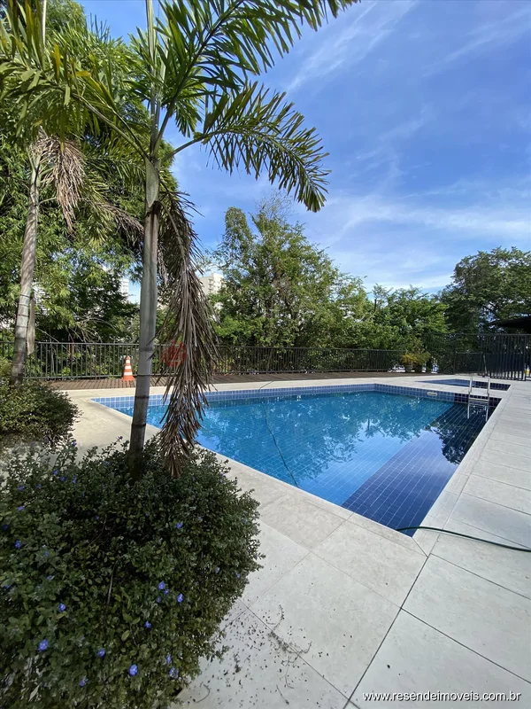 Foto 33 de 36 - Apartamento para aluguel em Campos Elíseos