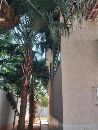 Casa para venda em Boa Vista II