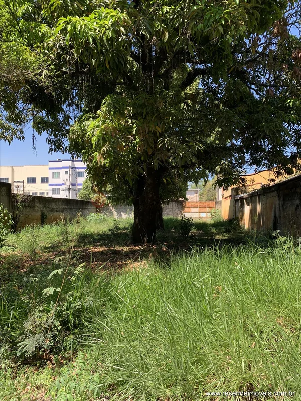 Foto 6 de 7 - Terreno para venda em Vila Julieta