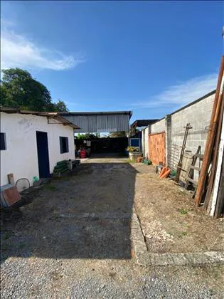 Galpão para venda e aluguel em Itapuca