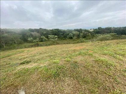 Terreno para venda em Parque Ipiranga