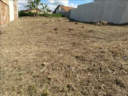 Terreno para venda em Parque Ipiranga II