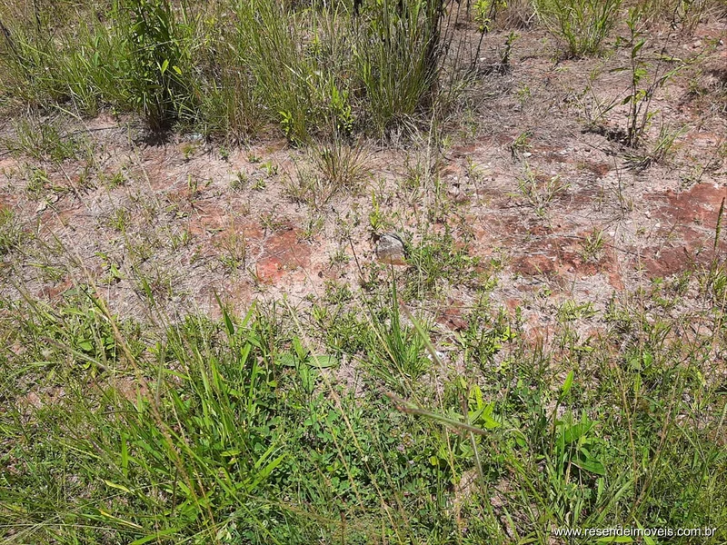 Foto 3 de 6 - Terreno para venda em Morada do Bosque