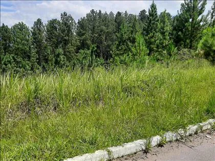 Terreno para venda em Morada do Bosque - Imobiliária Imobiliária 3JS