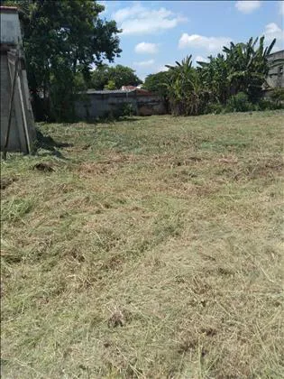 Terreno para venda em Alambari